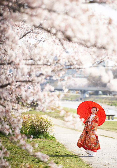 春の京都での前撮り イメージ